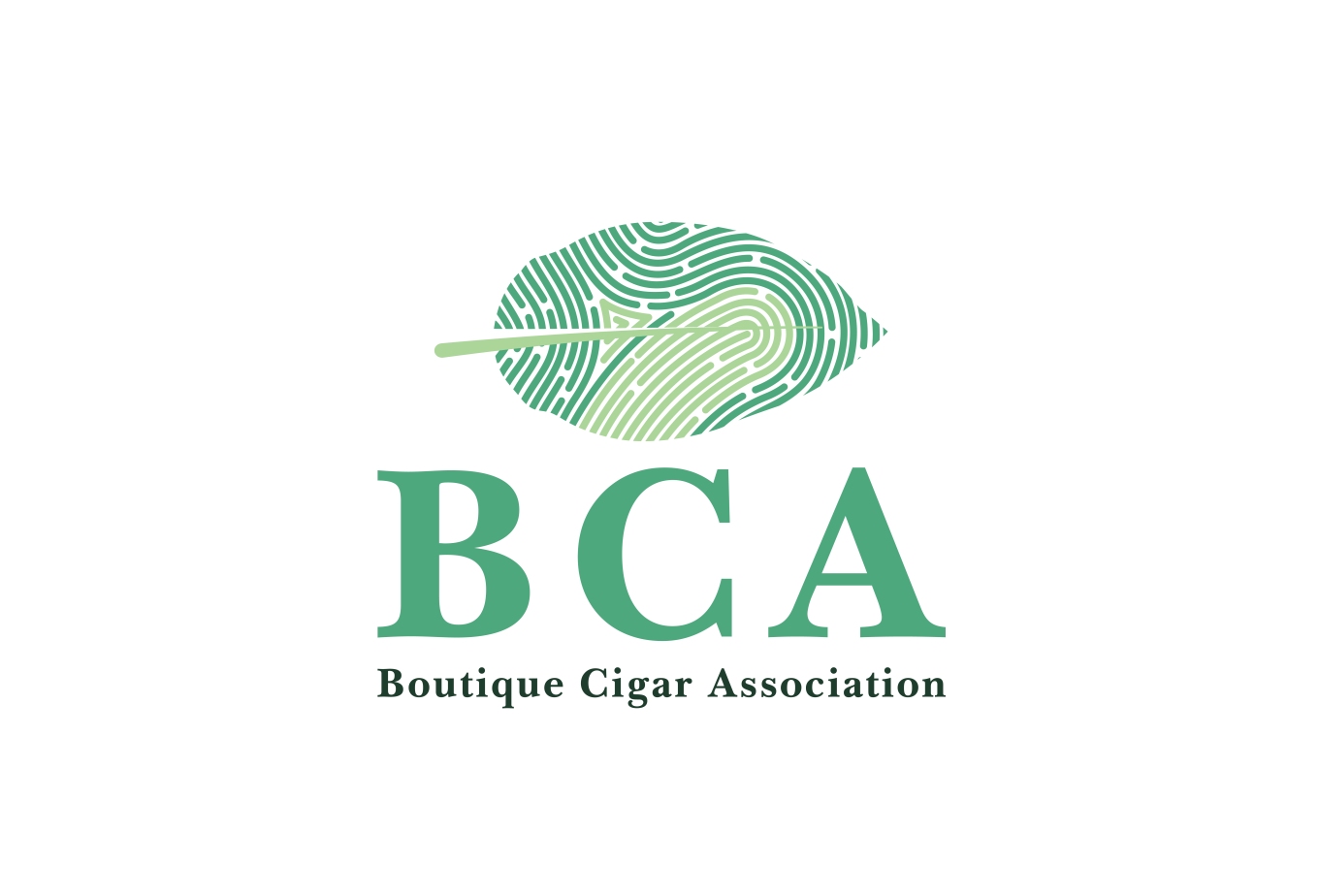 BCA Logo 2024